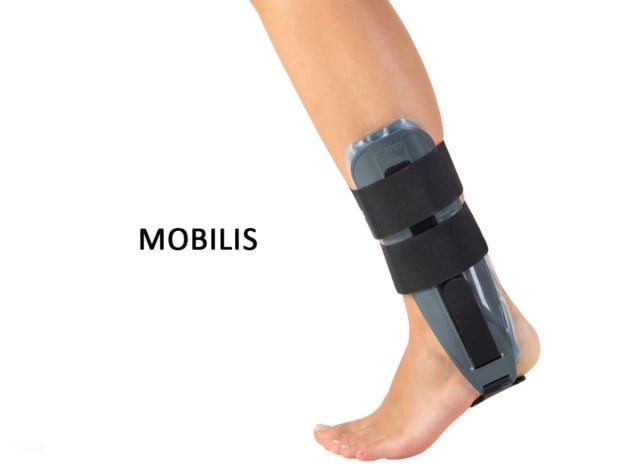 mobilis.jpg